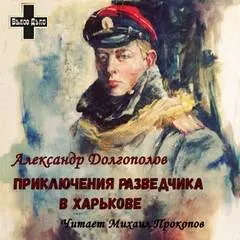 Приключения разведчика в Харькове. Рассказы - Александр Долгополов