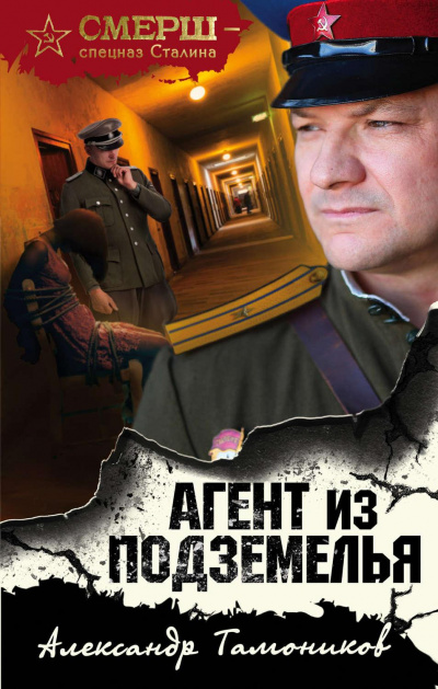 Агент из подземелья - Александр Тамоников