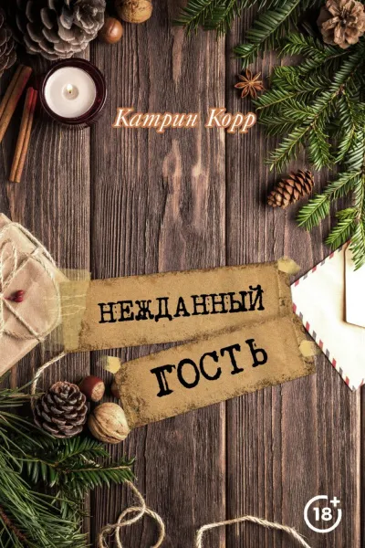 Нежданный гость - Катрин Корр