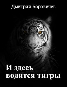 И здесь водятся тигры - Дмитрий Боровичёв