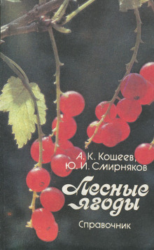 Лесные ягоды - Аркадий Кощеев