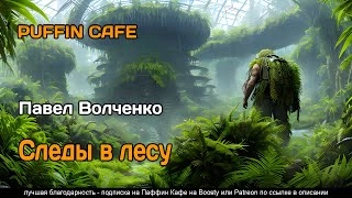 Следы в лесу - Павел Волченко »