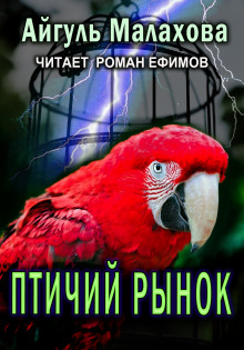 Птичий рынок - Айгуль Малахова