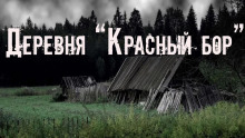Деревня «Красный бор» - Юлия Скоркина