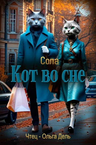 Кот во сне - Сола