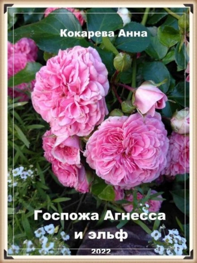 Госпожа Агнесса и эльф - Анна Кокарева