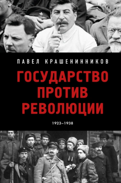 Государство против революции - Павел Крашенинников