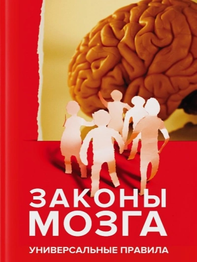 Законы мозга. Универсальные правила - Андрей Курпатов