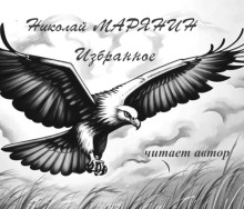 Полёт орла. Избранное - Николай Марянин