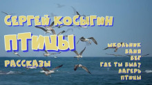 Сборник рассказов - Сергей Косыгин