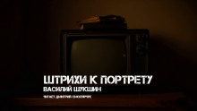 Штрихи к портрету - Василий Шукшин