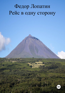 Рейс в одну сторону - Федор Лопатин