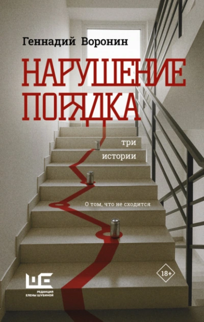 Нарушение порядка. Три истории - Геннадий Воронин