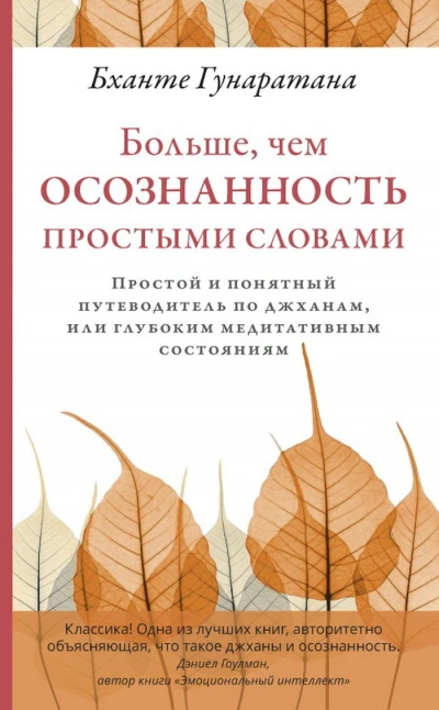 Больше, чем осознанность простыми словами. Простой и понятный путеводитель по джханам, или глубоким - Бханте Хенепола Гунаратана