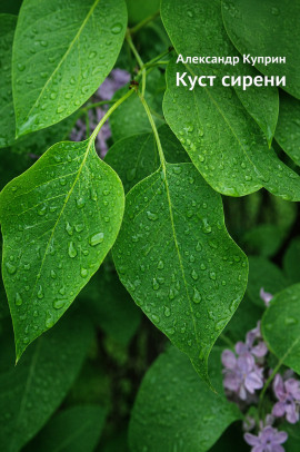 Куст сирени - Александр Куприн