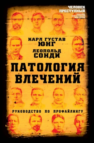 Патология влечений. Руководство по профайлингу - Юнг Карл, Леопольд Сонди