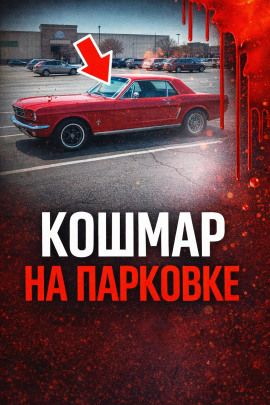 34 года поиска - Автор неизвестен