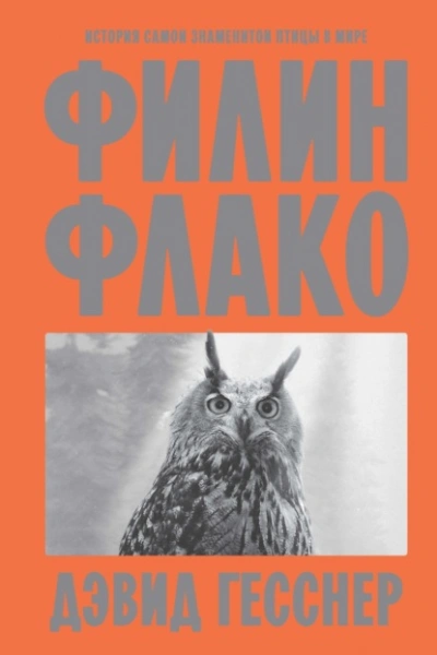 Филин Флако. История самой знаменитой птицы в мире - Дэвид Гесснер
